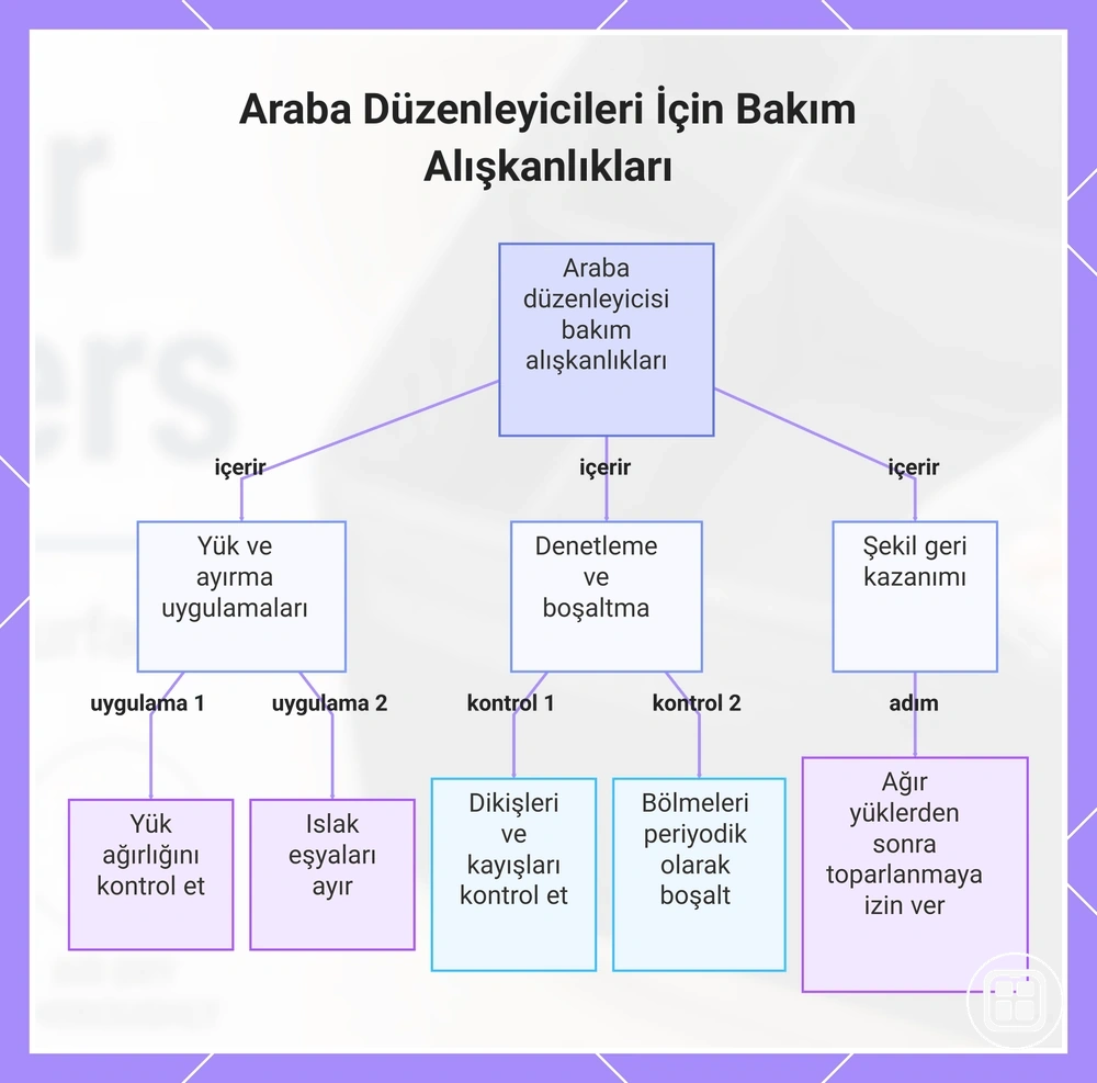 Araba Düzenleyicileri İçin Bakım Alışkanlıkları